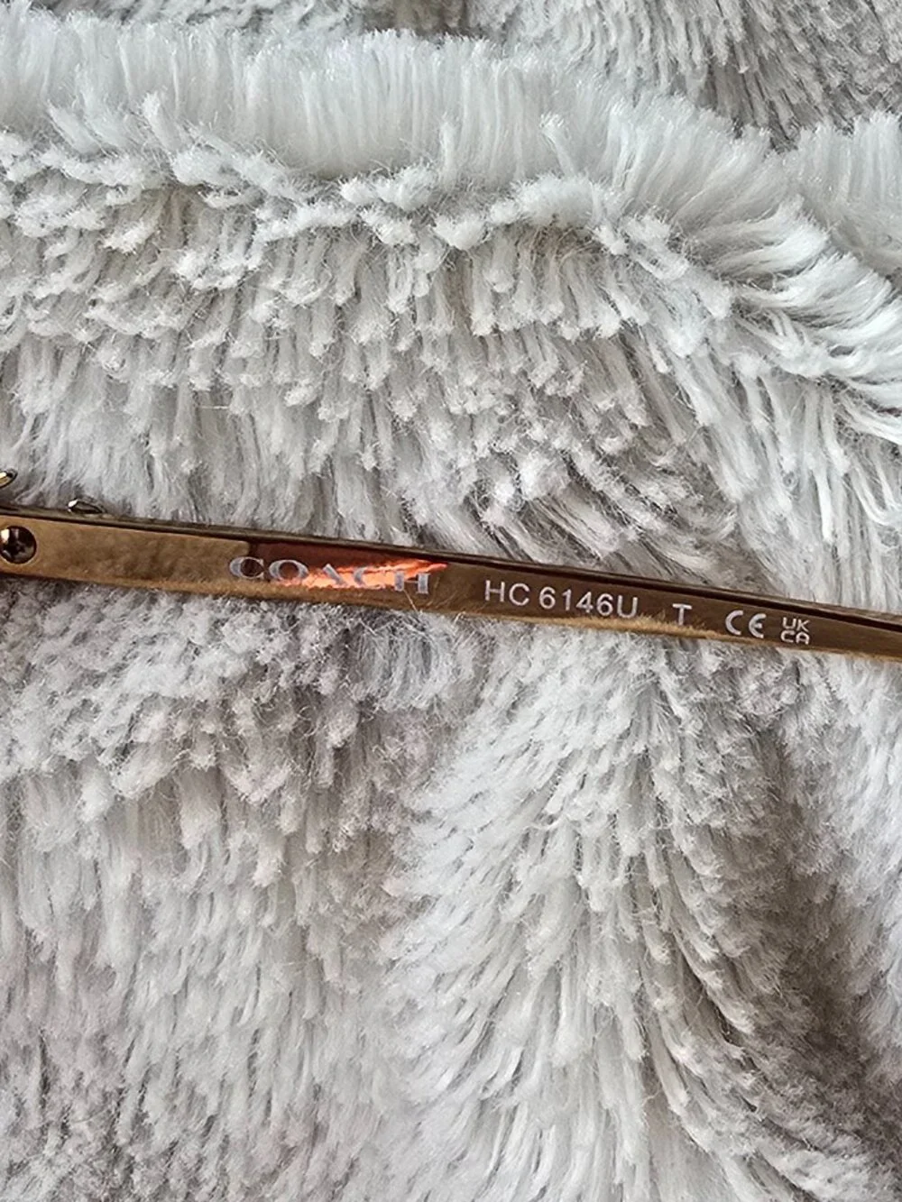 Coach Transparent Berry Frames